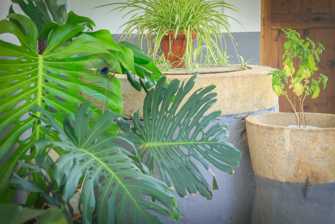 Sa Fita Backpackers - Albergue Juvenil Esporles Exterior photo
