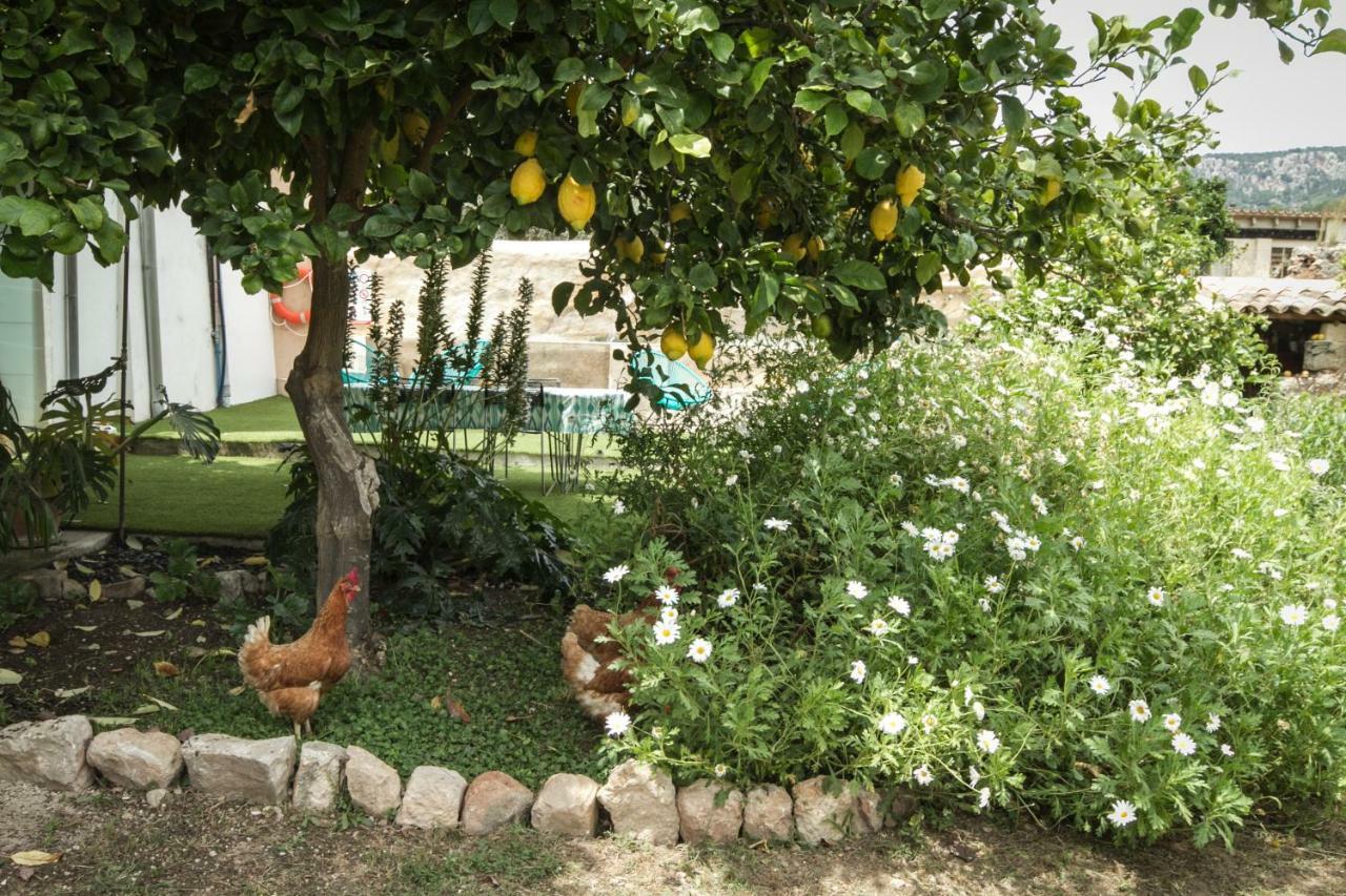Sa Fita Backpackers - Albergue Juvenil Esporles Exterior photo